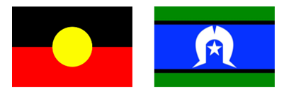 indigenous-flags-2