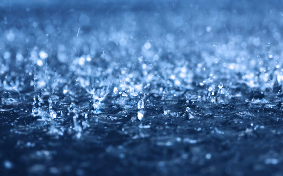 Wet Weather