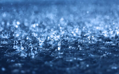 Wet Weather