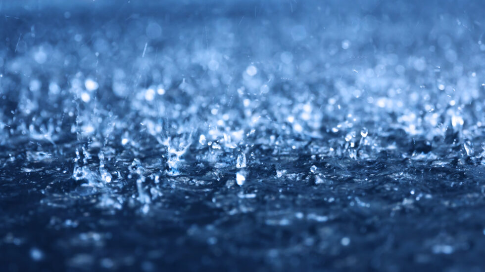 Wet Weather 2021 Wyong District Netball Association